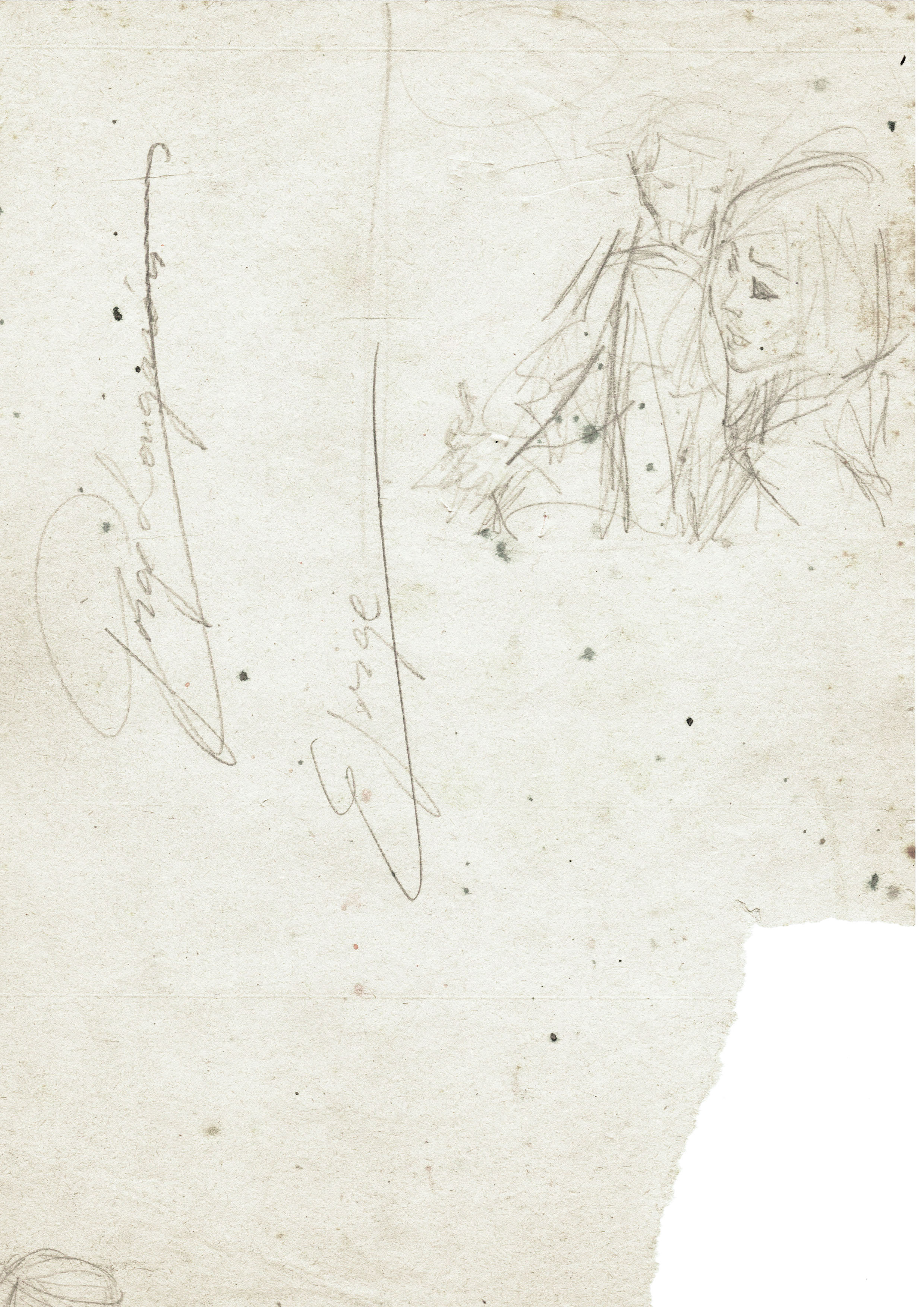 003746-Co-Sk-4_FF