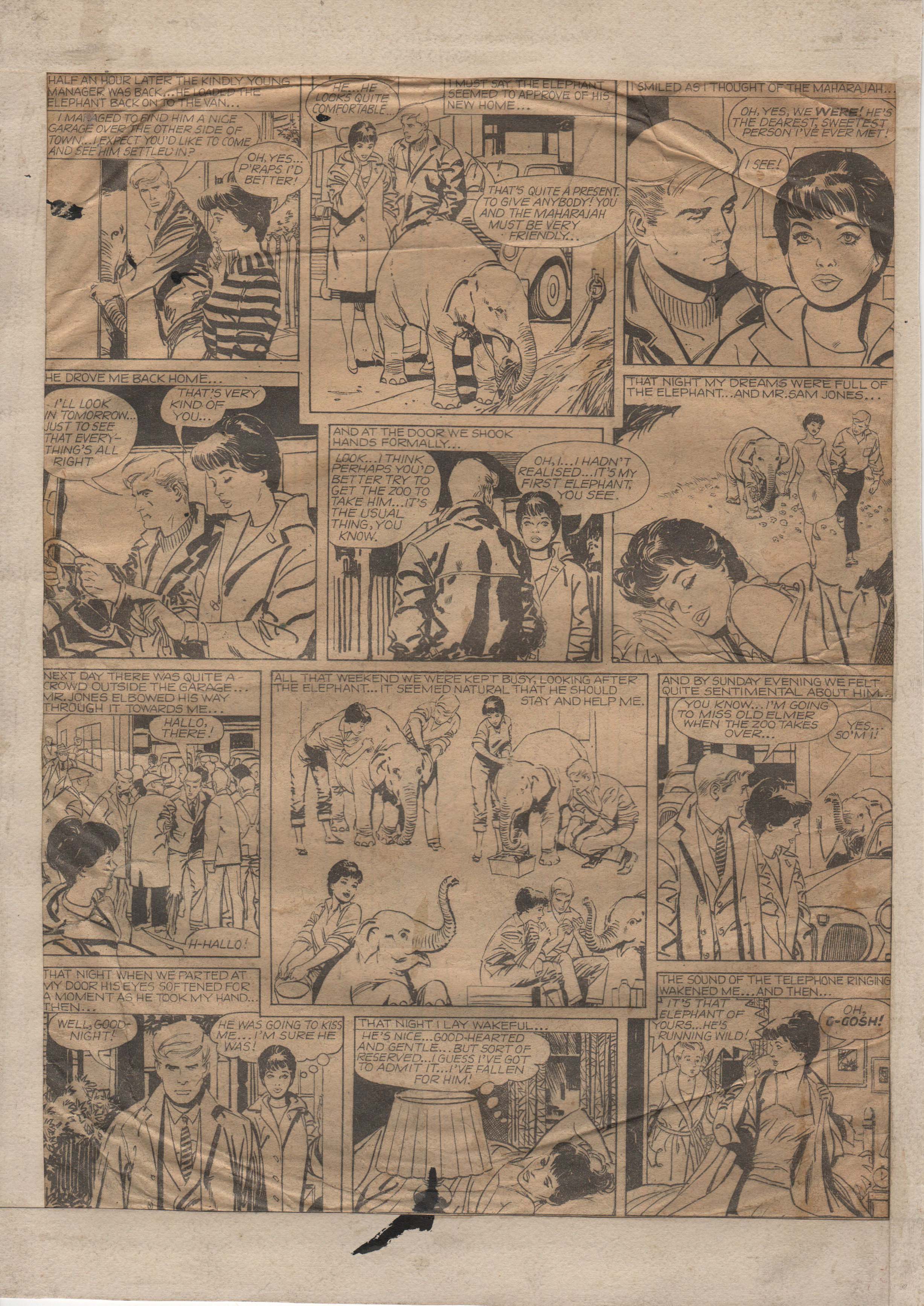 004630-Co-Rm-Pd-4_VN