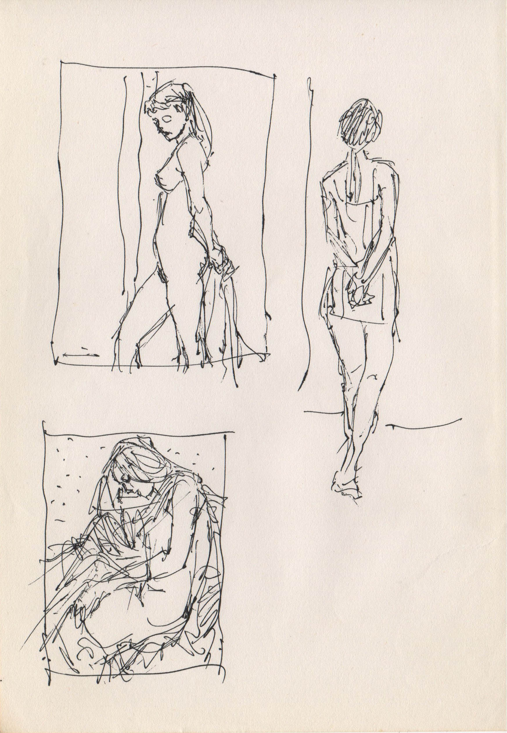 000597-Pt-Fg-Sk-5