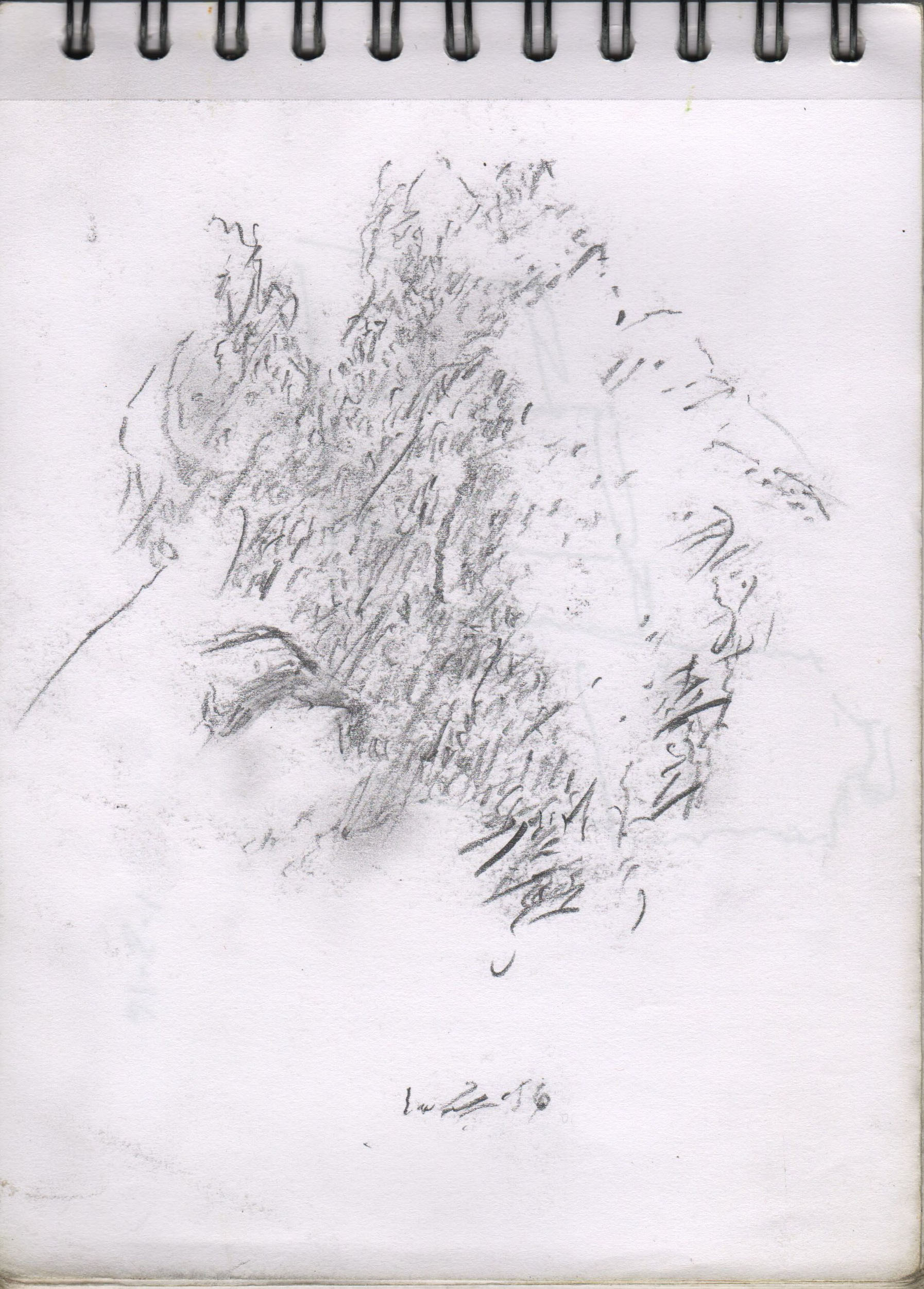 001095-Pt-Lc-Sk-5_A5