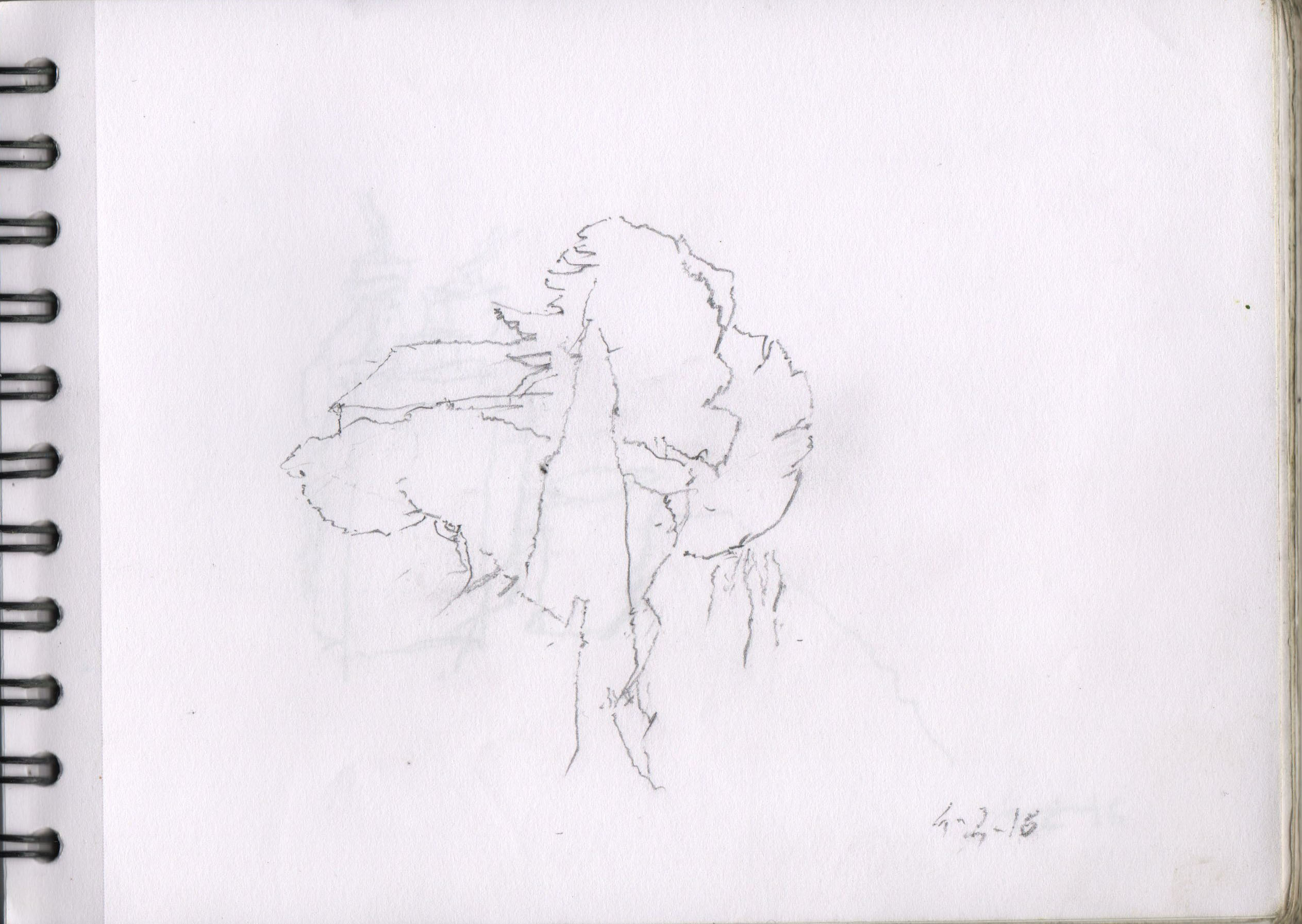 001102-Pt-Lc-Sk-5_A5