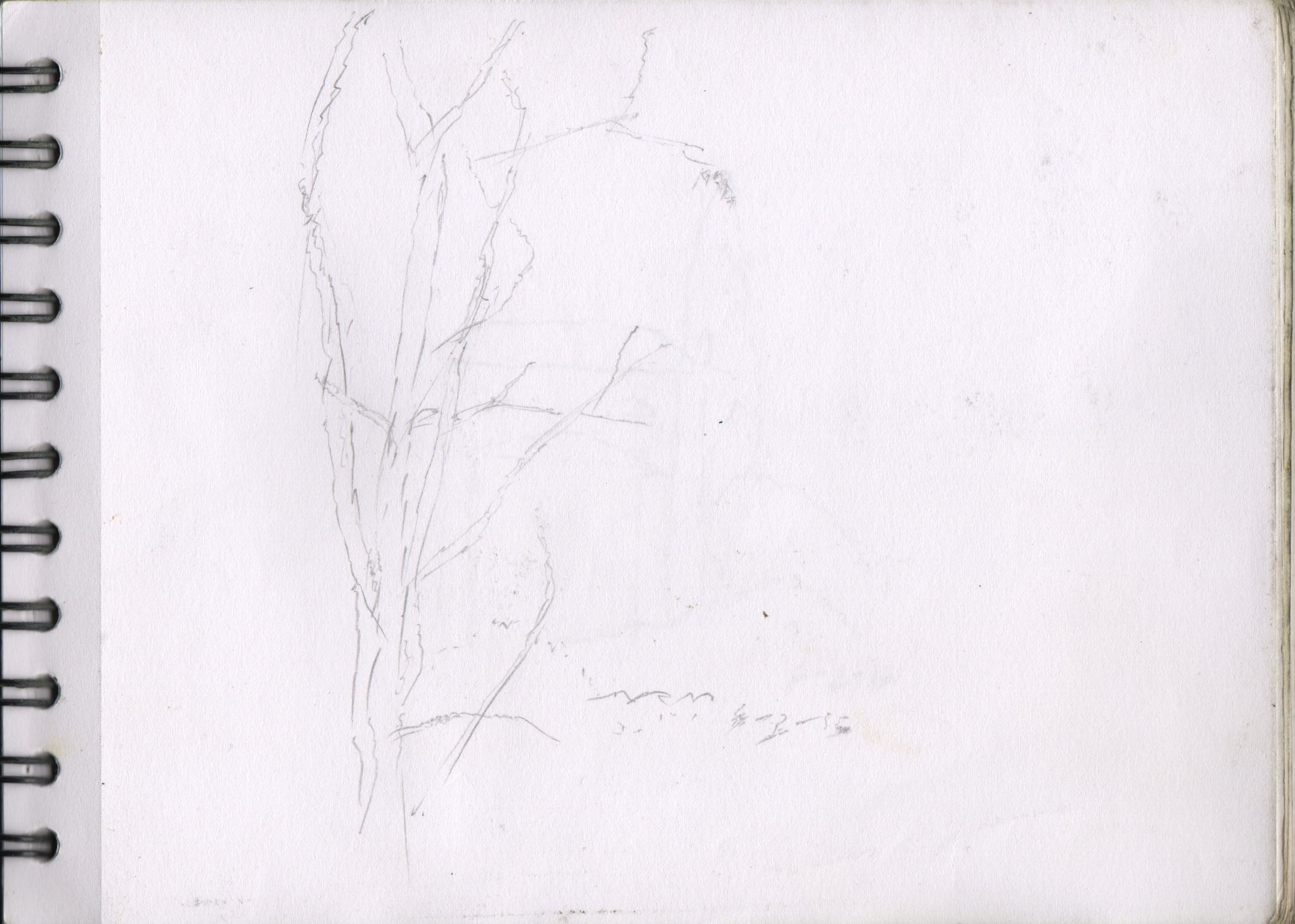001107-Pt-Lc-Sk-5_A5
