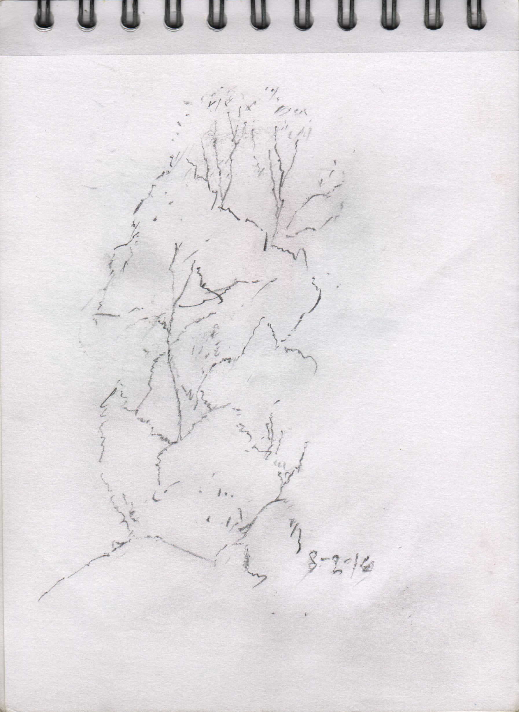 001110-Pt-Lc-Sk-5_A5