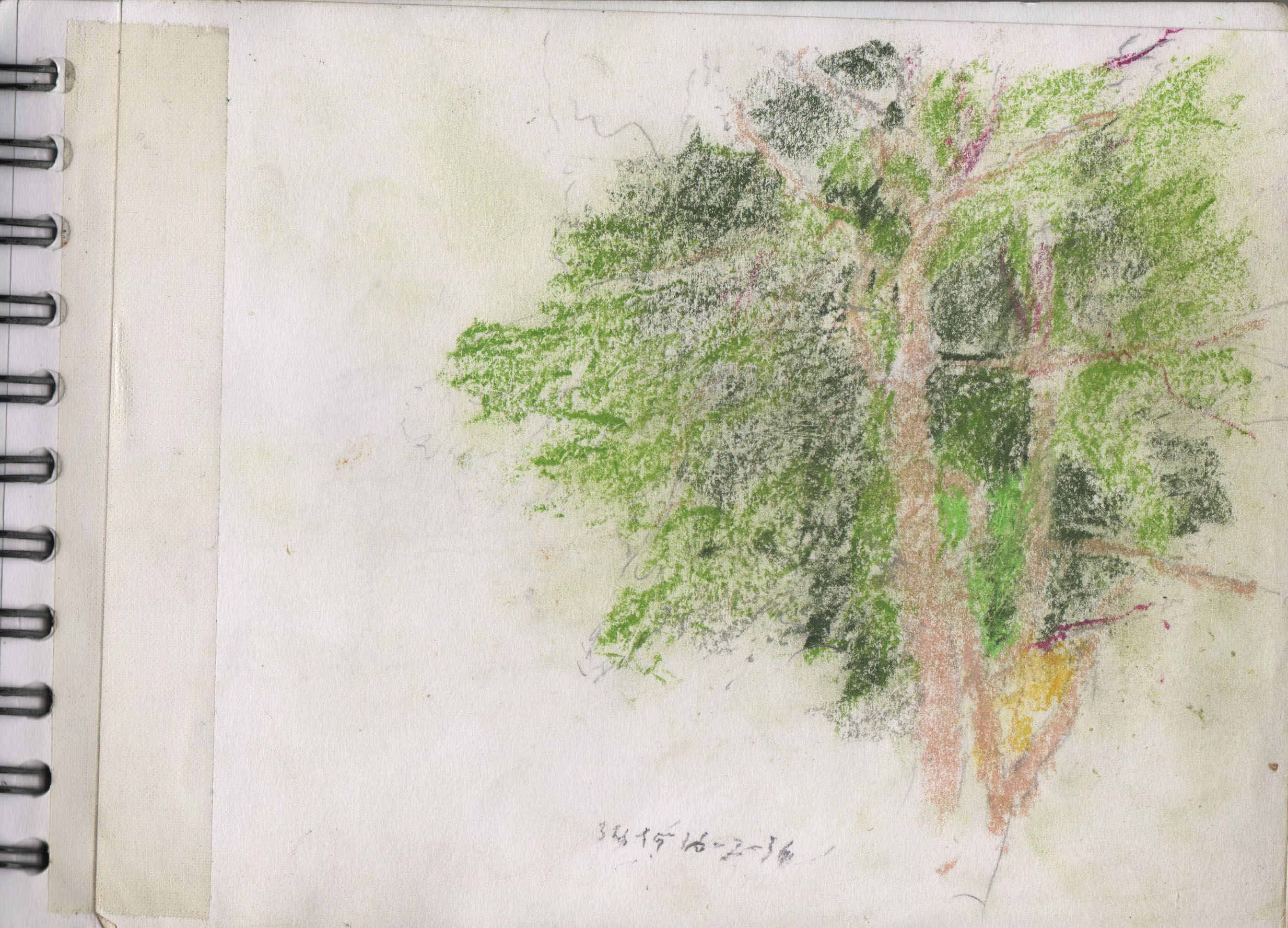 001115-Pt-Lc-Sk-5_A5