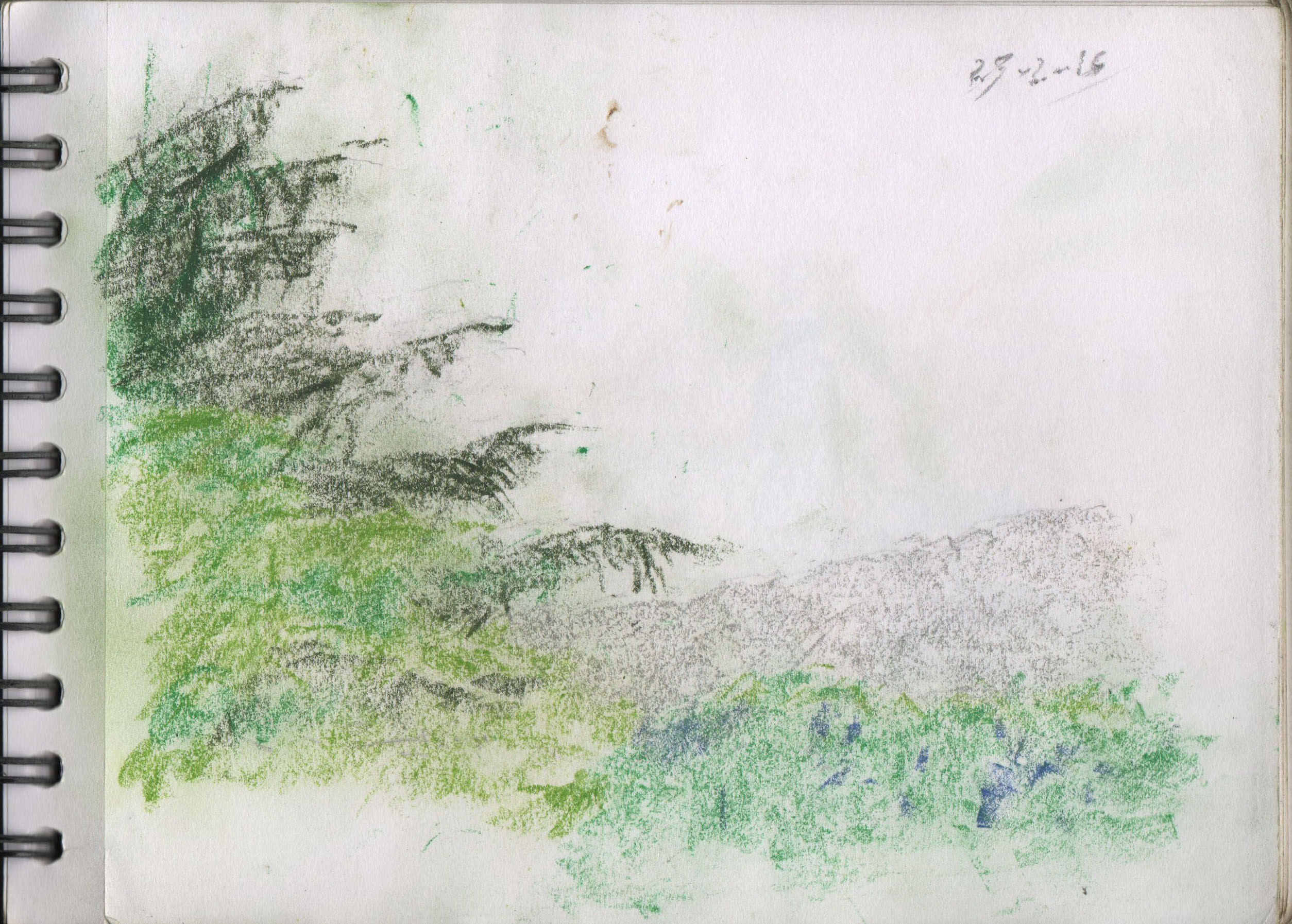001124-Pt-Lc-Sk-5_A5