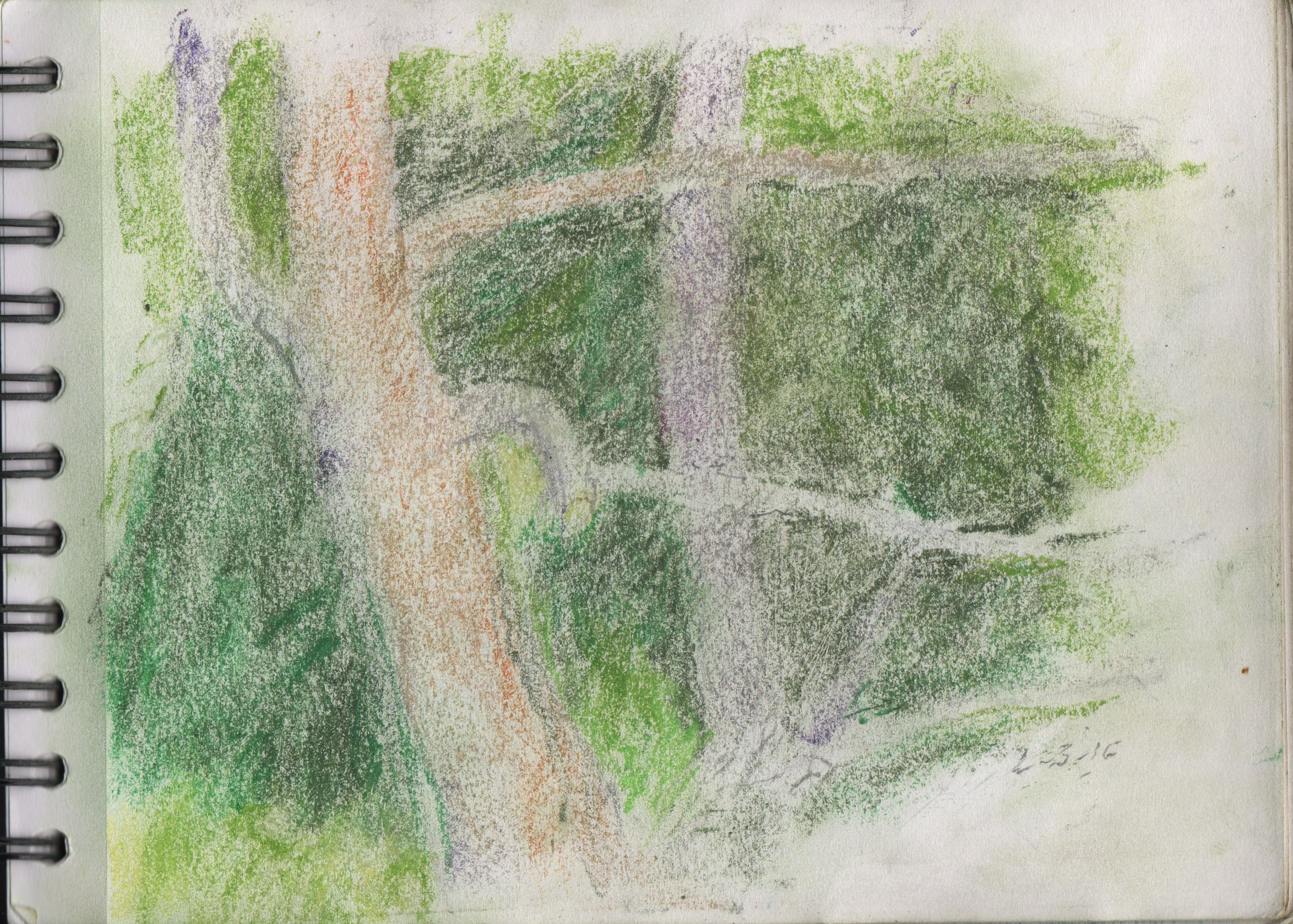 001130-Pt-Lc-Sk-5_A5
