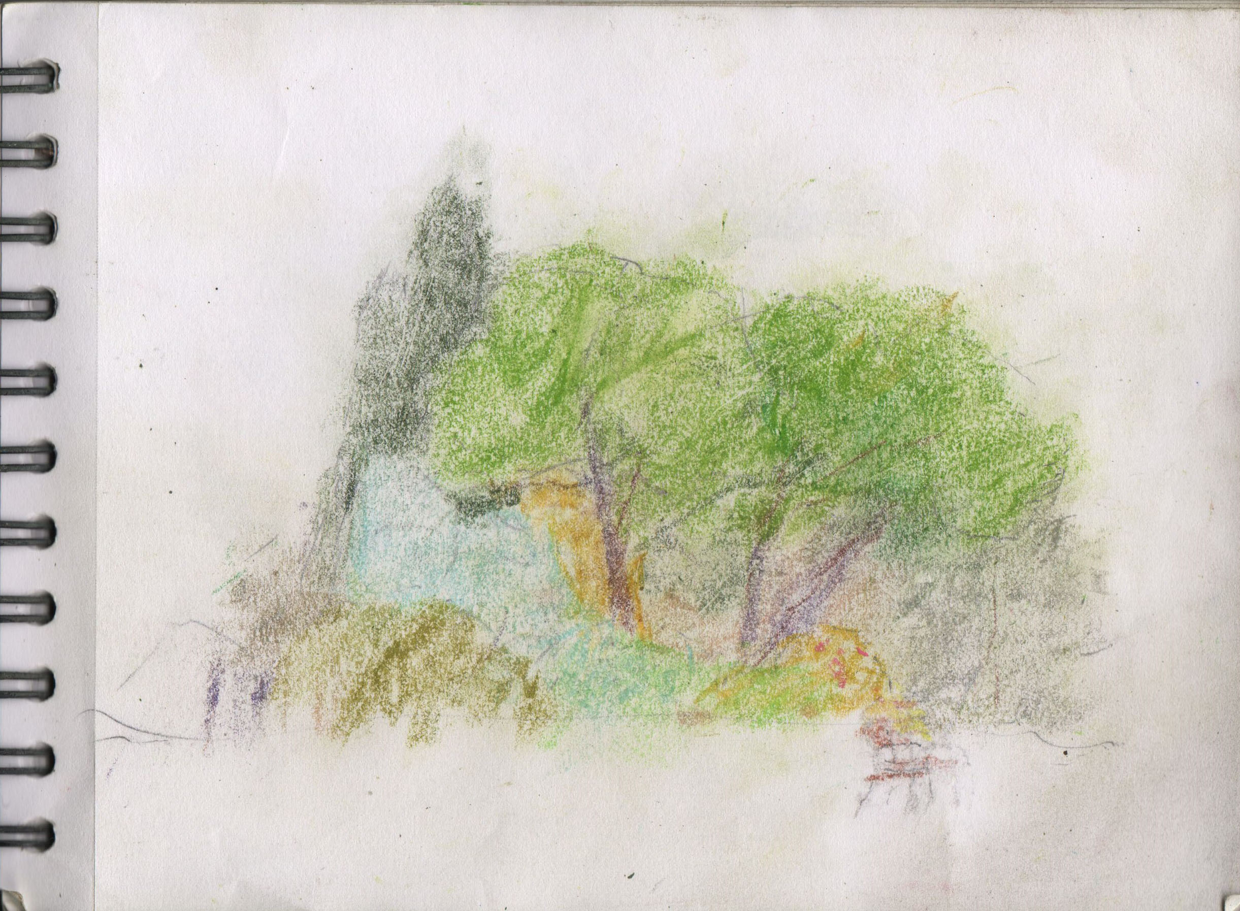 001135-Pt-Lc-Sk-5_A5