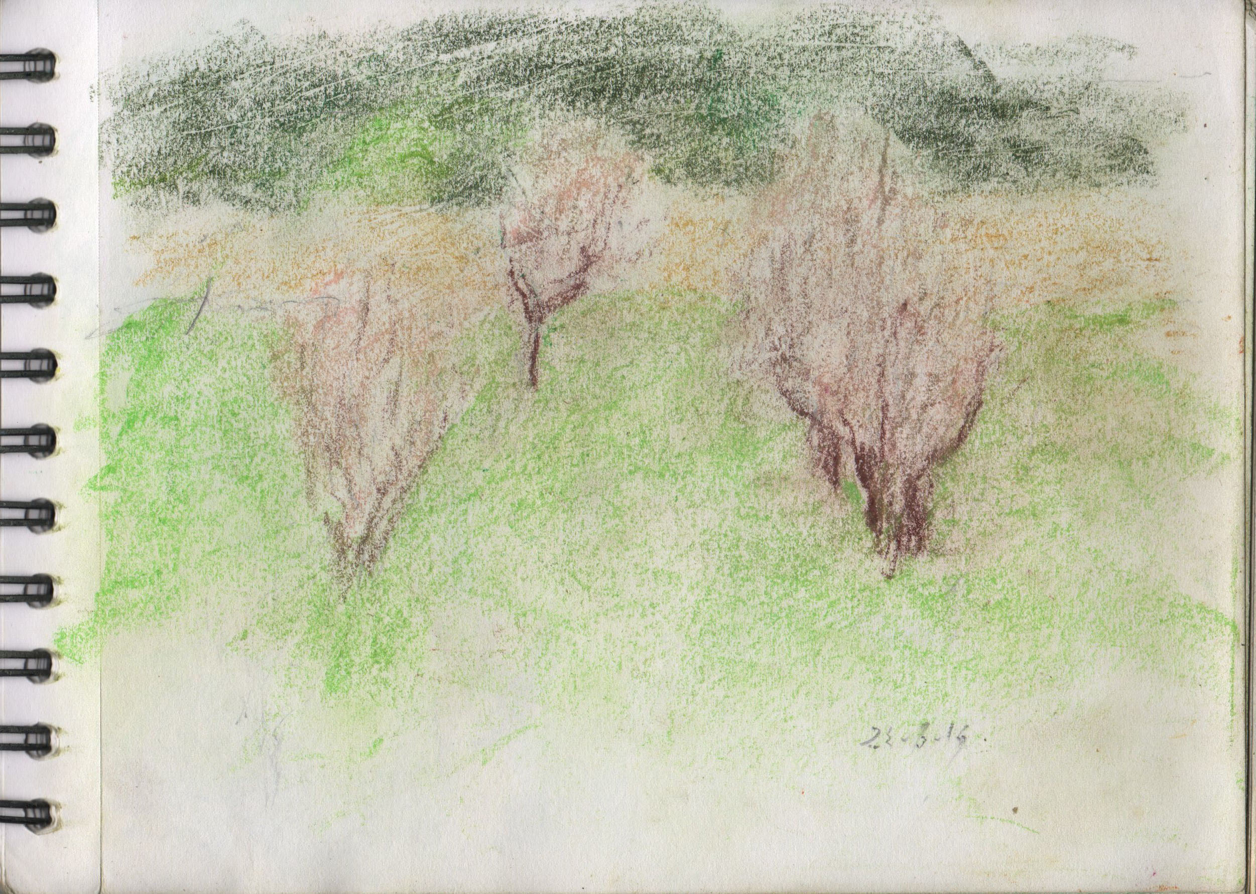 001142-Pt-Lc-Sk-5_A5