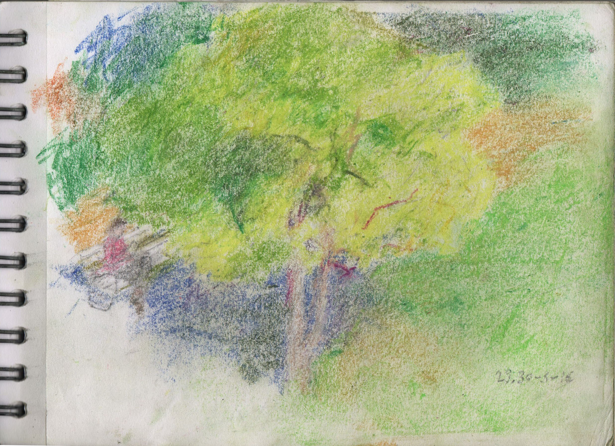 001146-Pt-Lc-Sk-5_A5