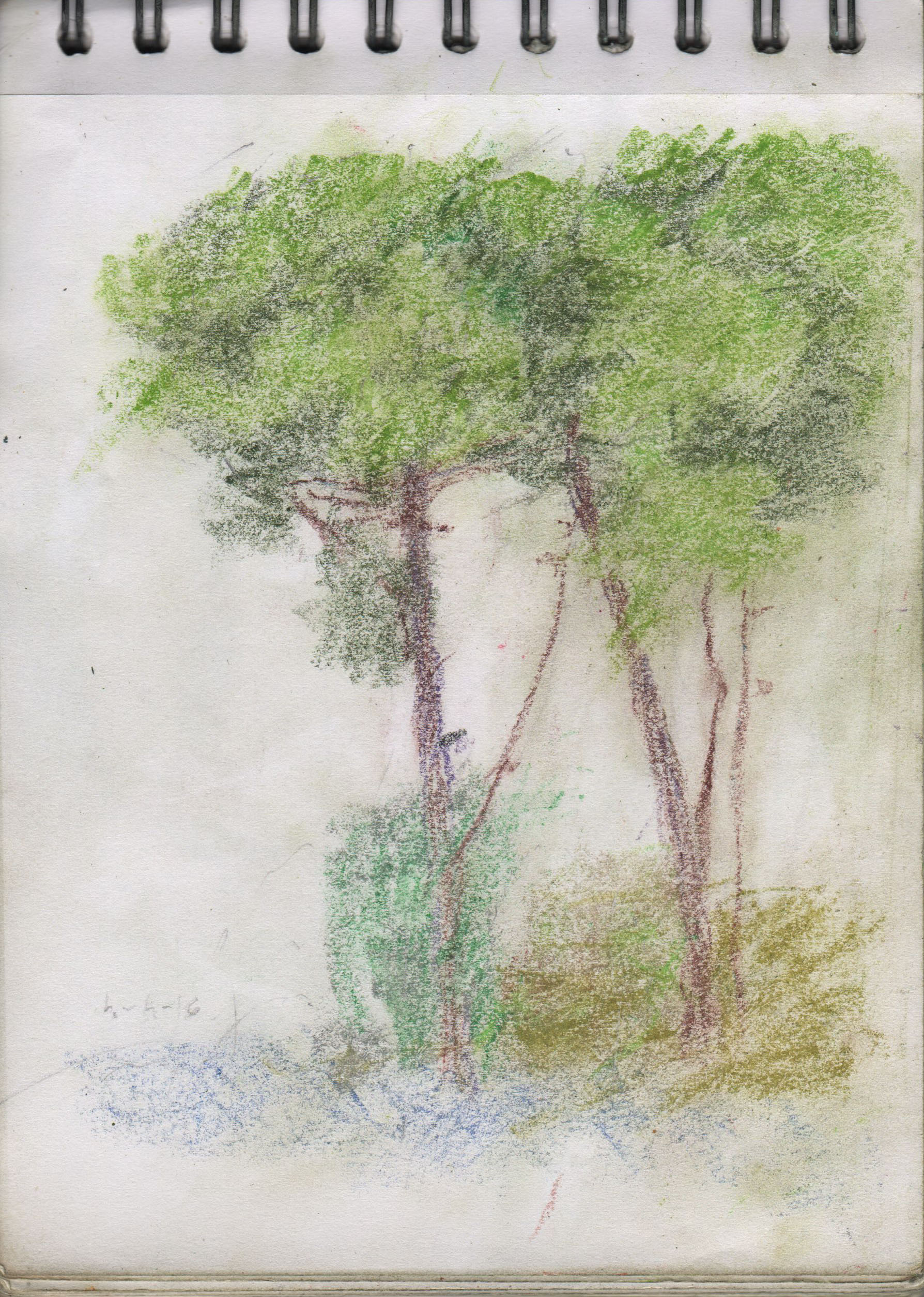 001148-Pt-Lc-Sk-5_A5