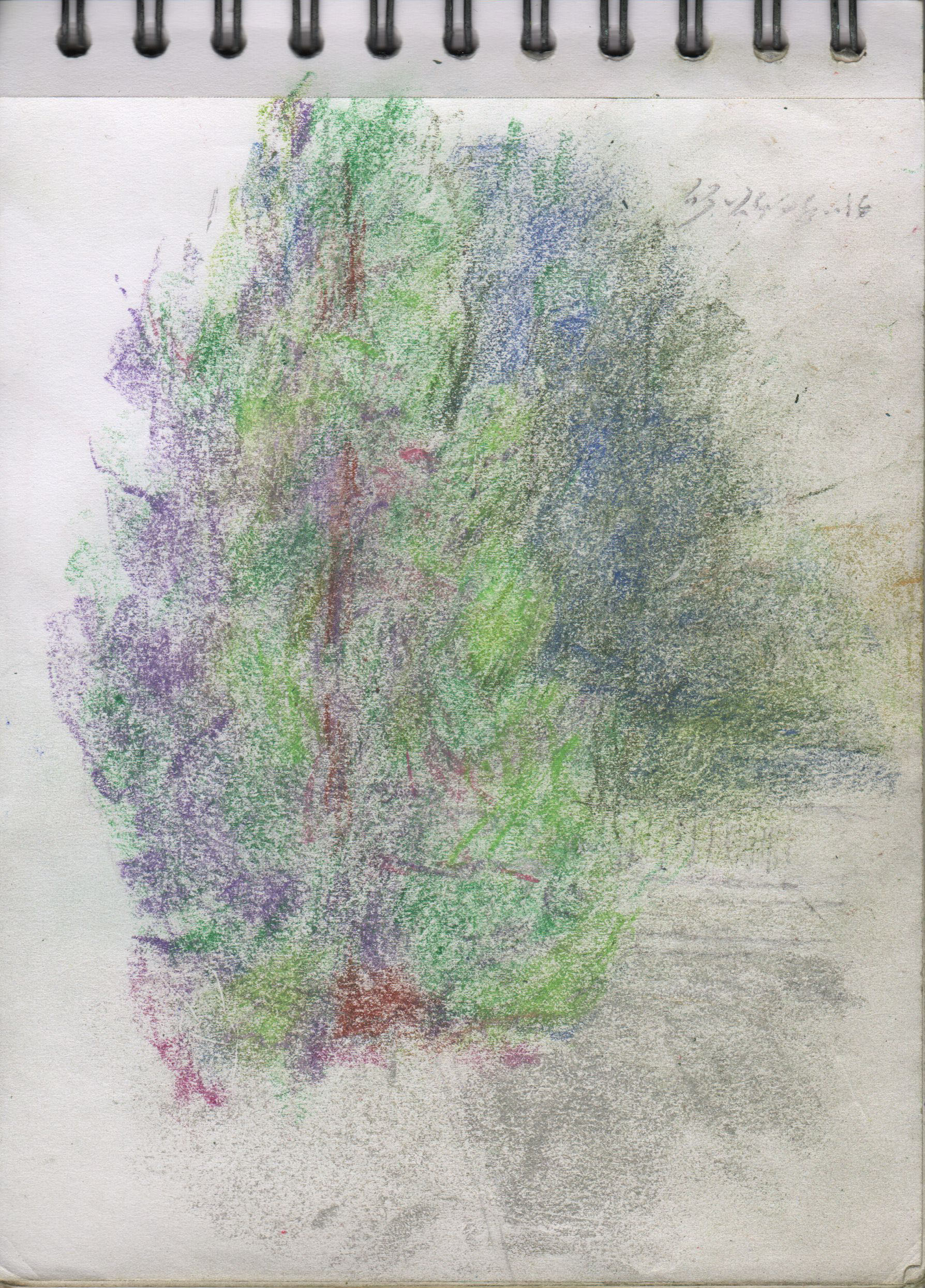 001159-Pt-Lc-Sk-5_A5
