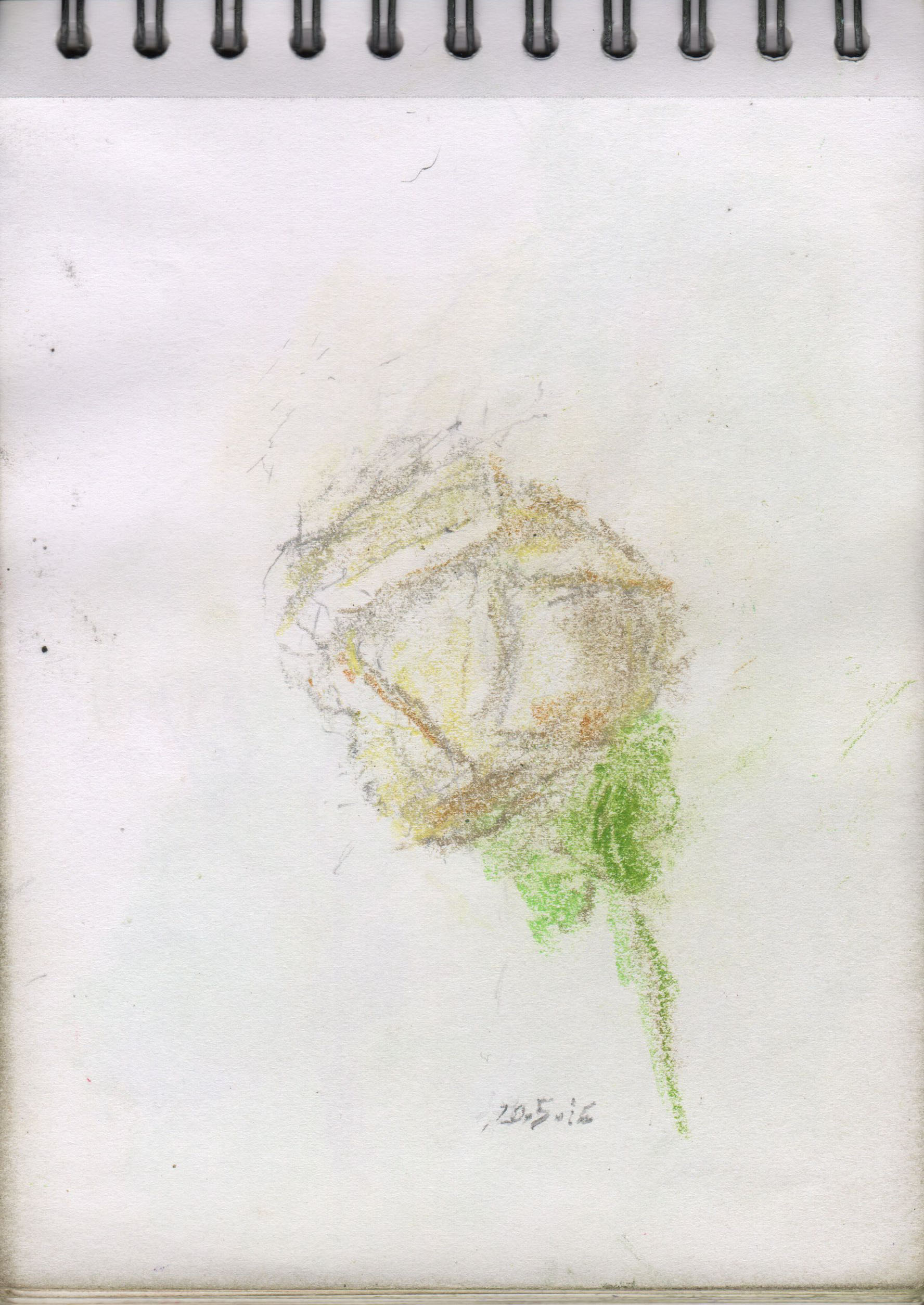 001163-Pt-Fg-Sk-5_A5
