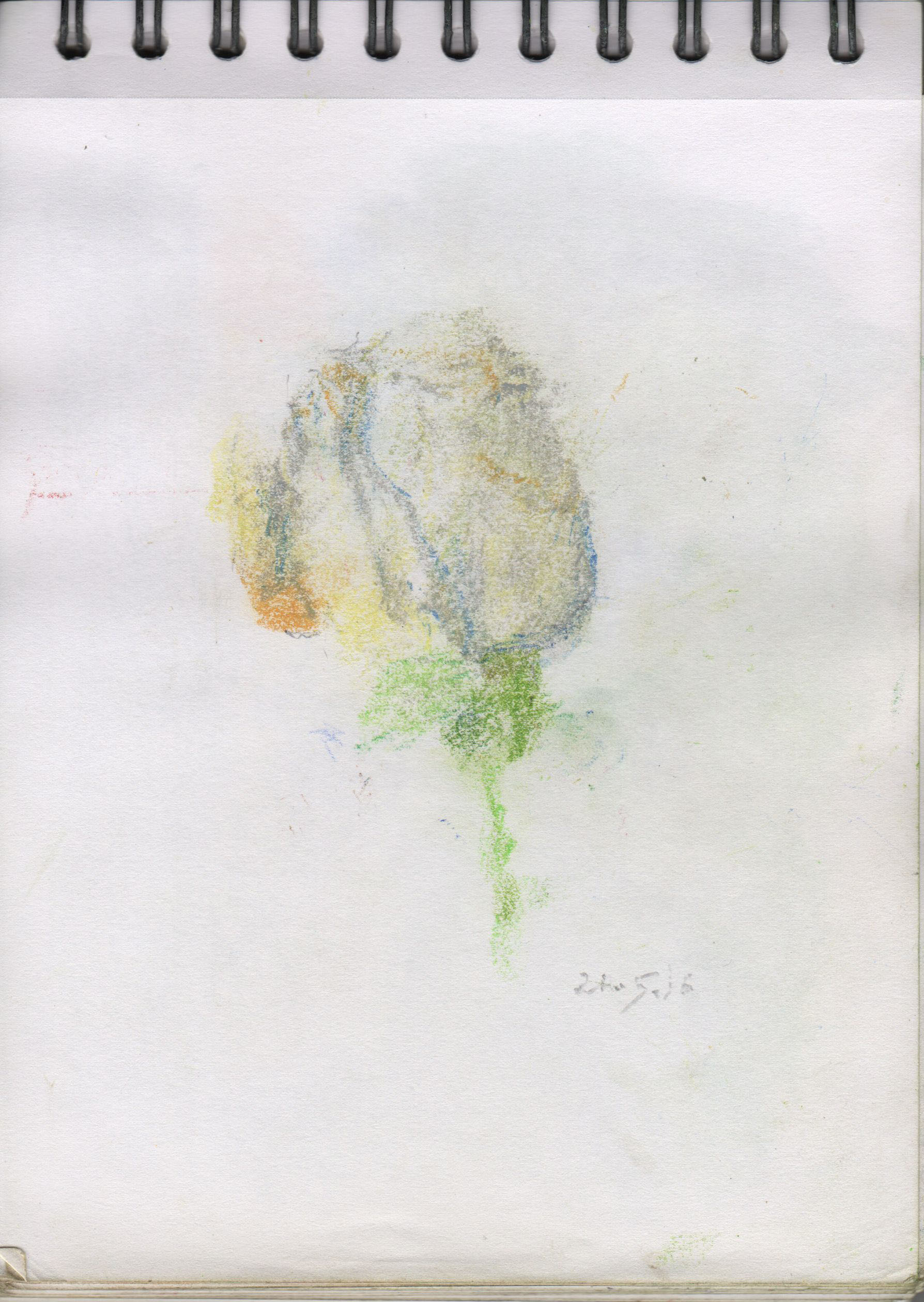 001165-Pt-Fg-Sk-5_A5