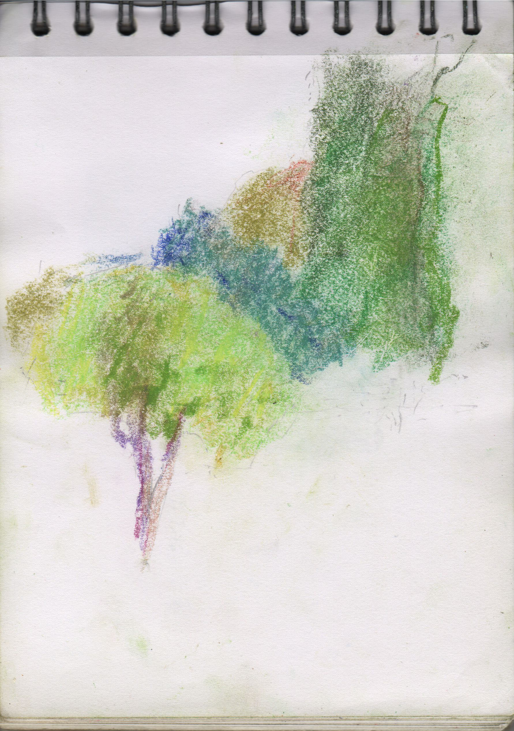 001170-Pt-Lc-Sk-5_A5