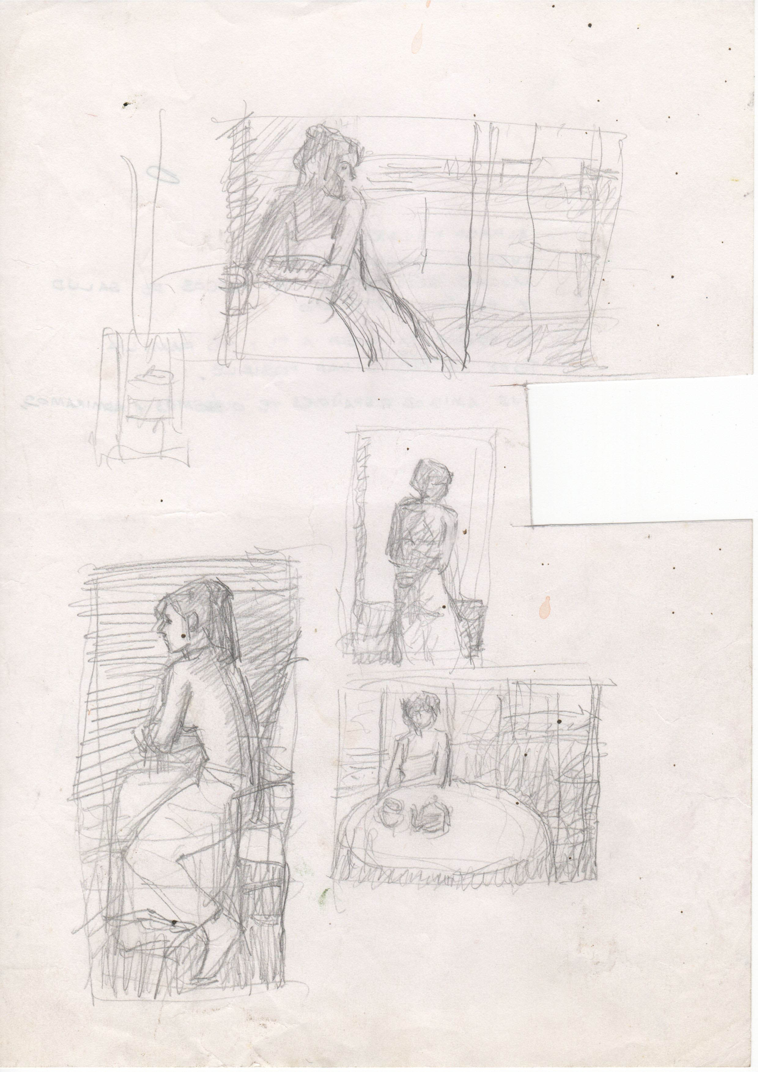 002317-Pt-Fg-Sk-5