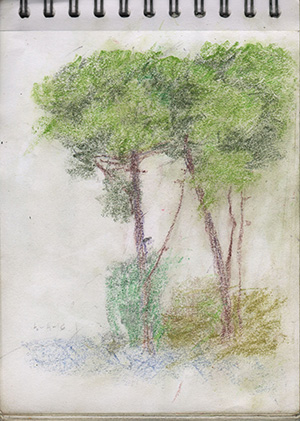 001148-Pt-Lc-Sk-5_A5