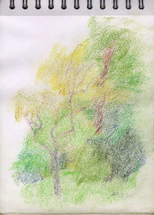 001164-Pt-Lc-Sk-5_A5