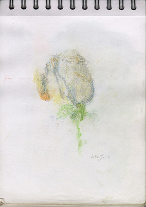 001165-Pt-Fg-Sk-5_A5