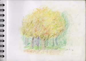 001181-Pt-Lc-Sk-5_A5
