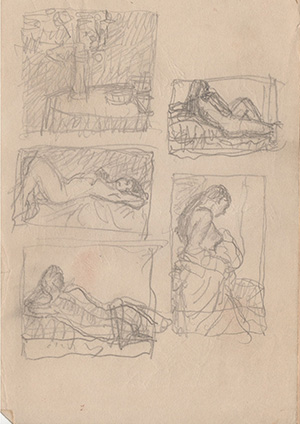 002245-Pt-Fg-Sk-5