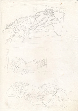 002259-Pt-Fg-Sk-5