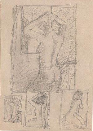 002306-Pt-Fg-Sk-5